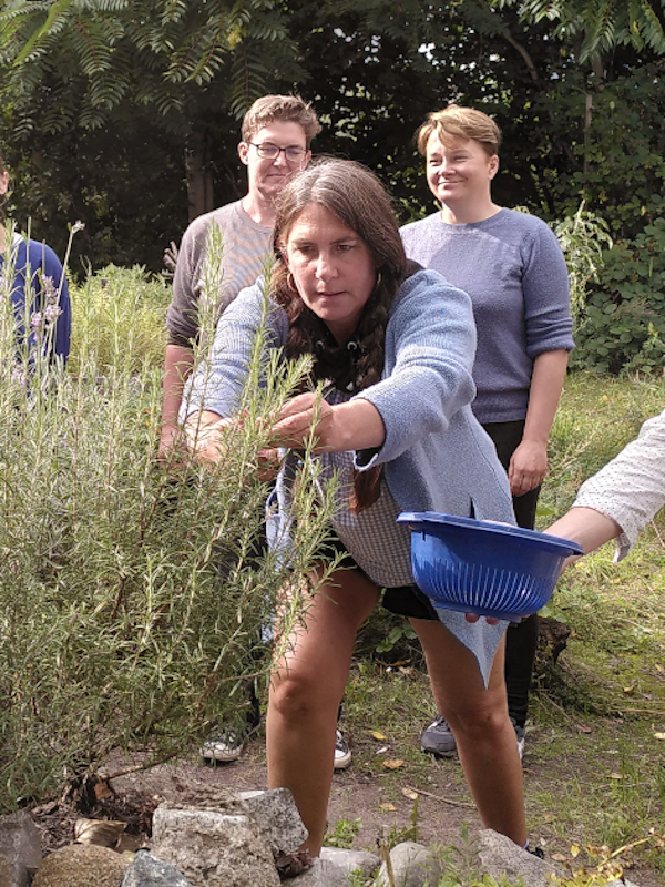 Frauengruppe steht um eine Kräuterspirale im Garten und erntet Rosmarin