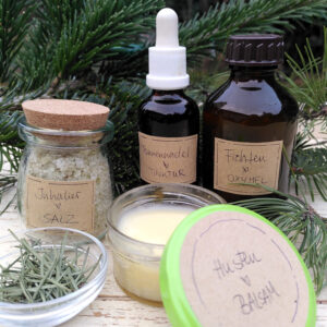 Workshop: "Nadelbäume erkennen, bestimmen und für die Hausapotheke nutzen" 21.02.2026 im SeelenRaum Guben