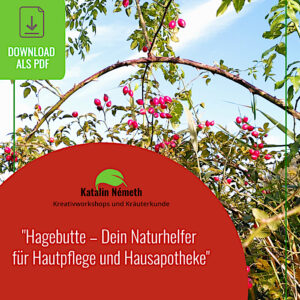 E-Book ""Hagebutte – Dein Naturhelfer  für Hautpflege und Hausapotheke" (PDF)